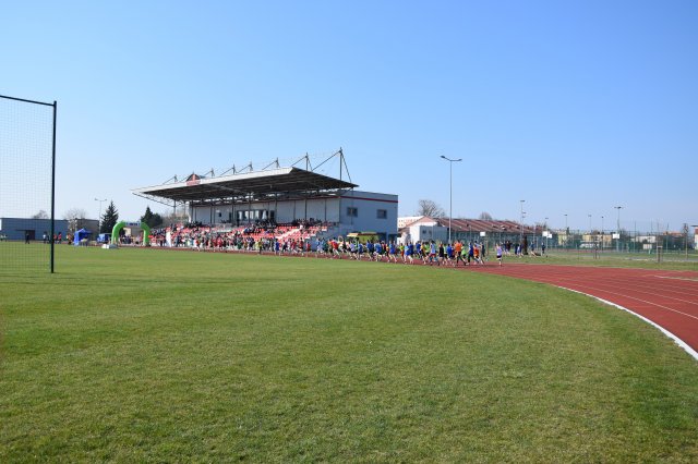 biegikwi 53